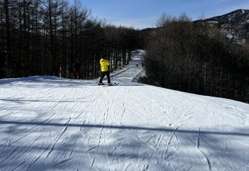 雪と温泉と郷土グルメを満喫する冬のスキーツアー旅行完全ガイド